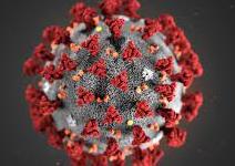 В 2021 году из бюджета Территориального фонда ОМС Алтайского края на лечение пациентов с новой коронавирусной инфекцией направлено 8,6 млрд. рублей