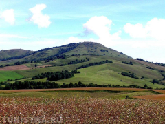  20 июля состоится консультативный прием в селе Красногорское