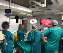 В ФГБУ «Национальный медицинский исследовательский центр онкологии имени Н.Н. Блохина» прошел цикл обучения «Лапароскопическая тазовая лимфаденэктомия при злокачественных новообразованиях женских половых органов»