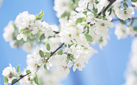 График работы в праздничные дни