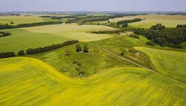 24 мая состоится консультативный прием в селе Целинное